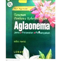 Image of Aglaonema tanaman pembawa keberuntungan