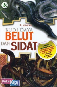 Image of budi daya belut dan sidat