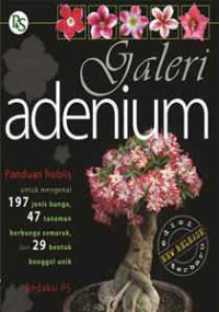 Image of galeri adenium