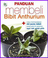 Image of panduan membeli bibit anthurium