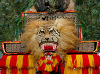 Image of reog ponorogo