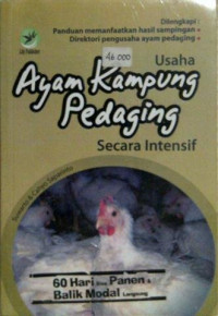 Image of usaha ayam kampung pedaging secara intensif